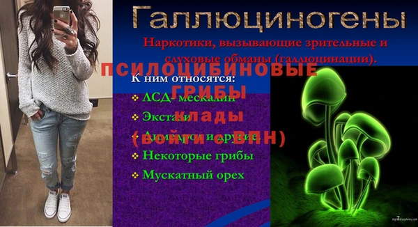 альфа пвп Богородицк