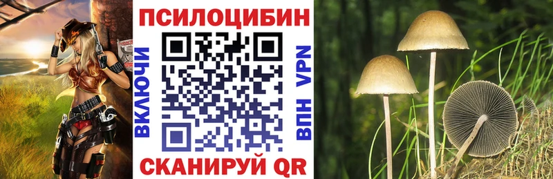 Псилоцибиновые грибы мухоморы  Воркута 